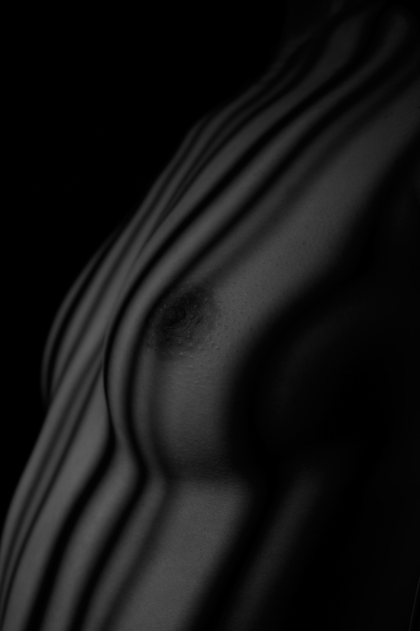 Anonym